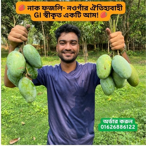 মেহেদি হাসান